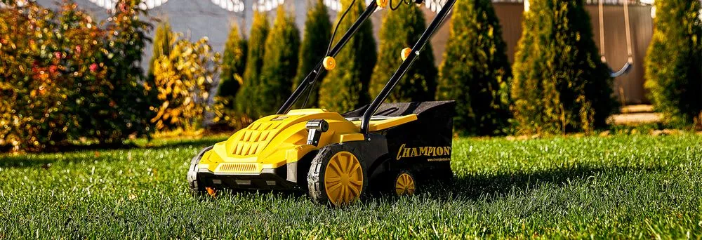 Скарификаторы Скарификаторы